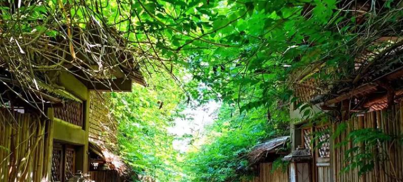 千华古村如风民宿图片