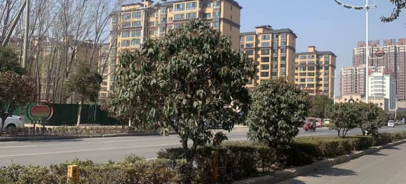 溪礼南苑酒店(民权火车站店)图片