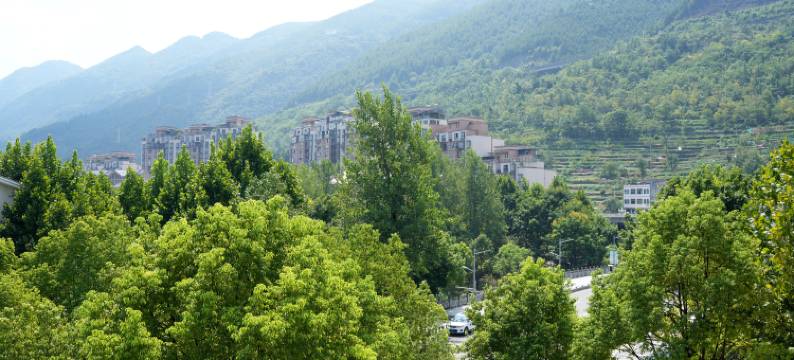 巫溪皇廷商务酒店图片