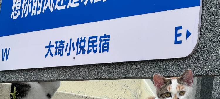 千岛湖大琦小悦民宿图片