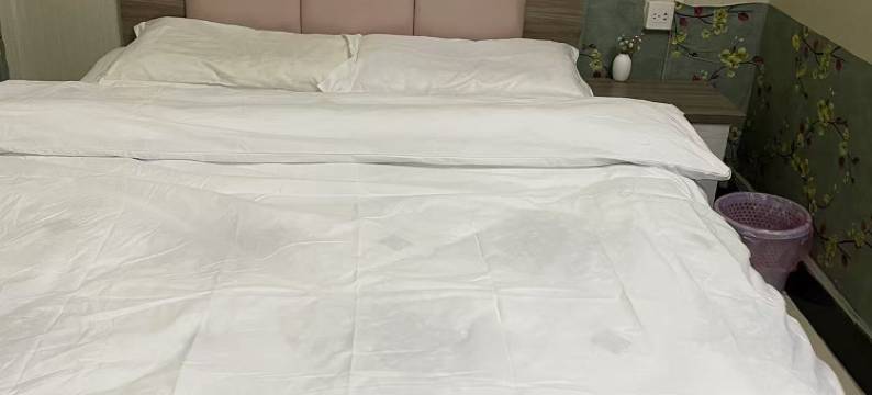 鑫康宾馆(西安沙井村店)图片