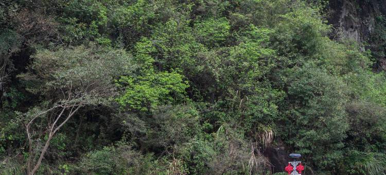 磐安云上花溪度假酒店图片