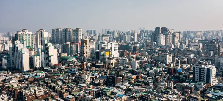 首尔江南艾琳娜酒店(Hotel Eliena Seoul Gangnam)图片