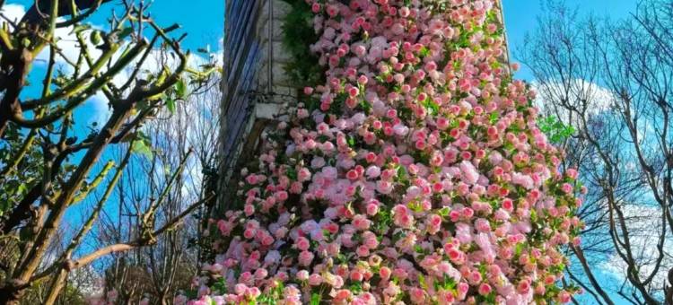 昆明锦江大酒店图片