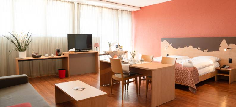 瑞士爱华楚格酒店(SwissEver Hotel Zug)图片