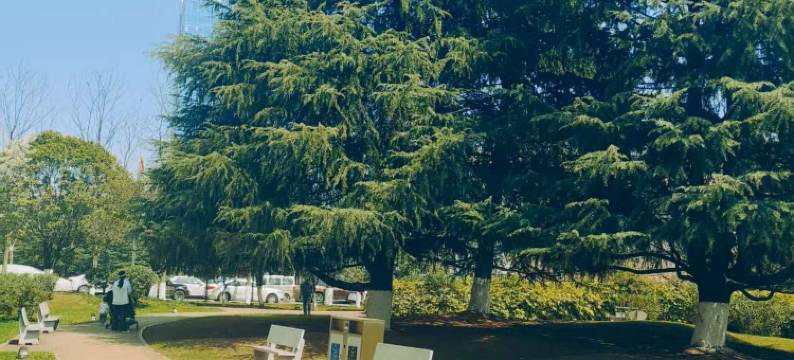 贵阳金阳大酒店(观山湖公园金融城店)图片