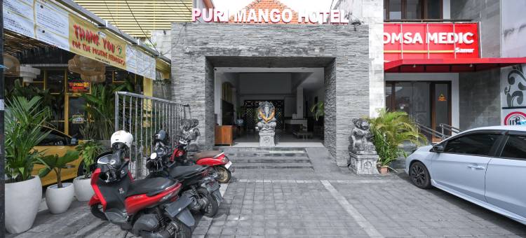 Sans Vibes Puri Mango Hotel Sanur图片