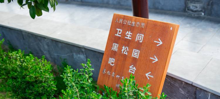 新沂人民公社生态园图片