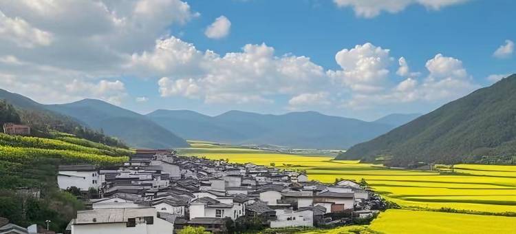 婺源篁岭溪风宿•徽州臻品民宿图片