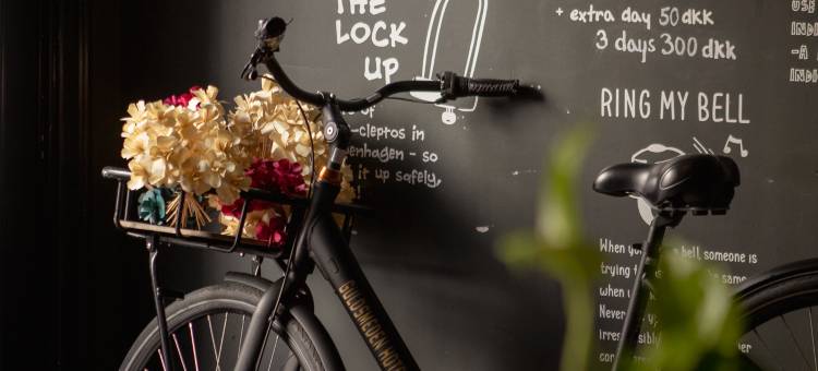 阿科斯尔古尔德斯梅登酒店(Axel Guldsmeden)图片