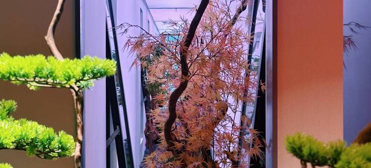 禧悦设计师HOTEL(二马路美食街中山渡口店)图片