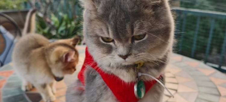 阳朔静然山水丨空中花园・RETREAT观景度假酒店(20元人民币景区店)图片