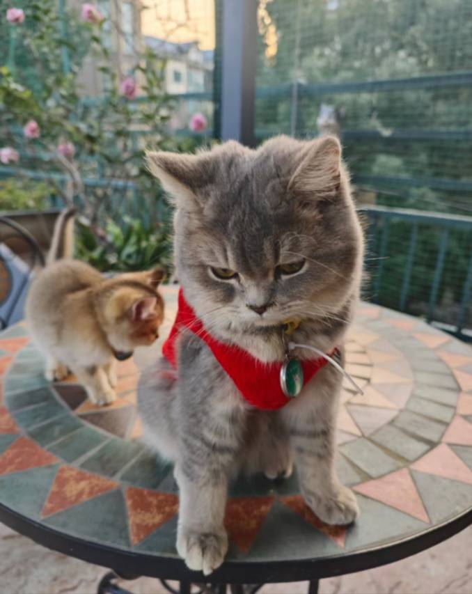 阳朔静然山水酒店(20元人民币景区店)图片