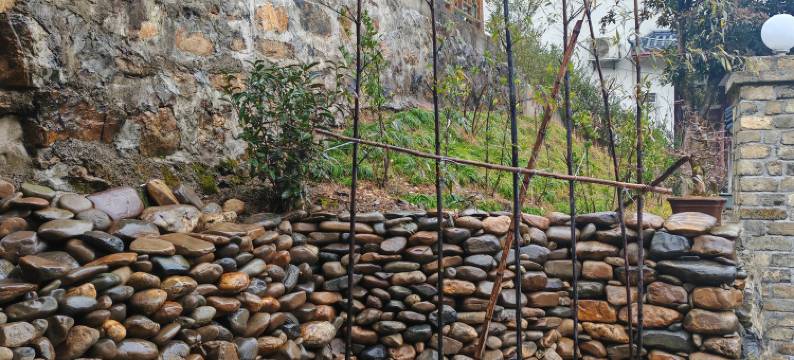 池州洞天苑民宿图片