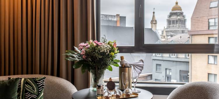 美憬阁布鲁塞尔路易斯酒店(Le Louise Hotel Brussels - MGallery Collection)图片