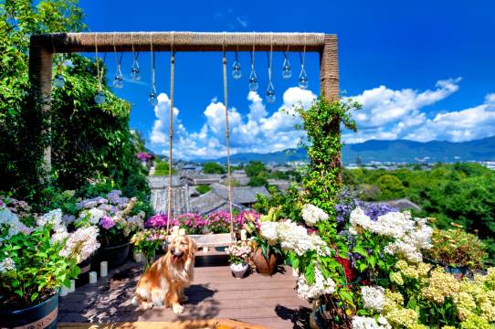 丽江慕云堂观景客栈图片