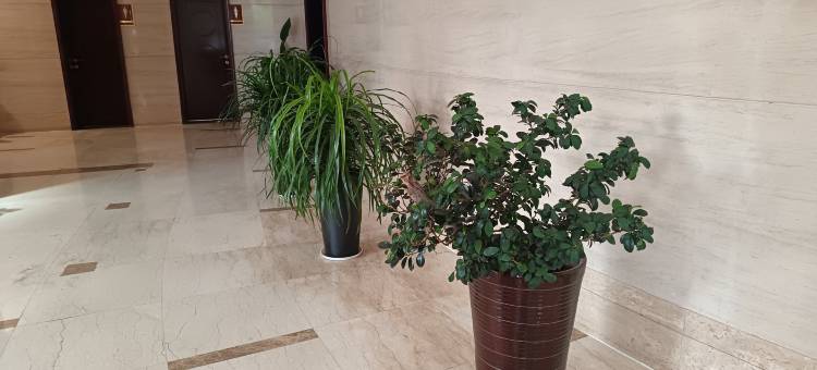 长沙偶然雀INS风酒店图片