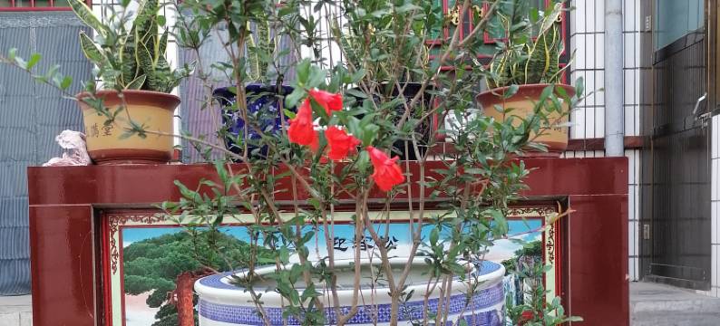 康泰居客栈(平遥古城店)图片