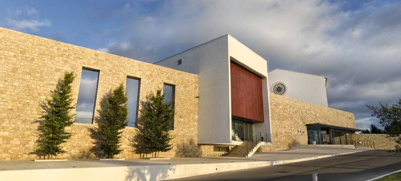 阿巴迪亚皇家国会及温泉酒店(Real Abadia, Congress & Spa Hotel)图片