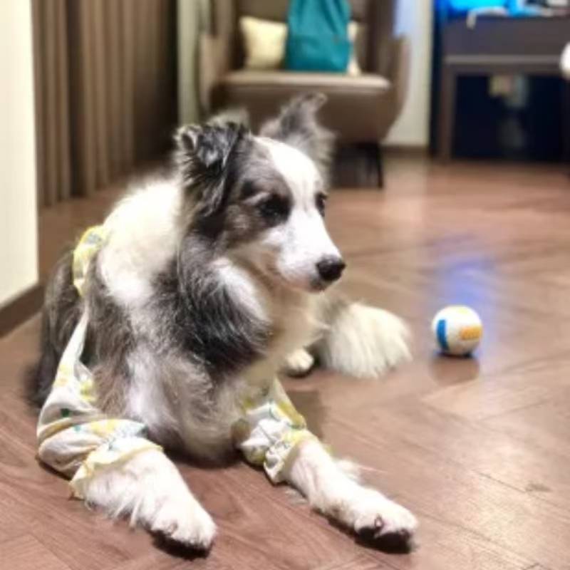 METROPOLO丨锦江都城酒店(长沙德思勤广场省政府店)图片