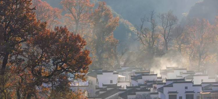 婺源石城黑皮小院(红枫叶景区店)图片