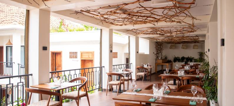 Rugando的巢穴(The Nest)图片