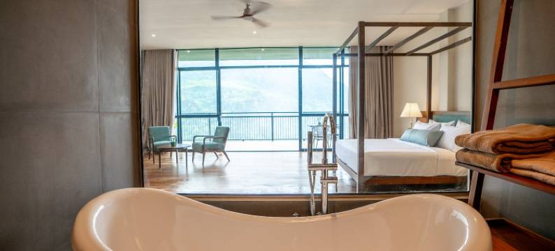 橡光茶语山居(Oak Ray Tea Bush)图片