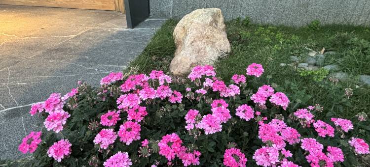 大理舢轩海景民宿(机场路洱海店)图片