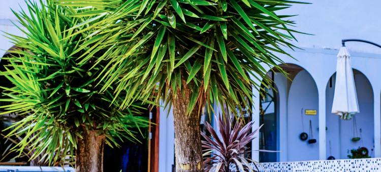 抚仙湖小湾壹号民宿图片