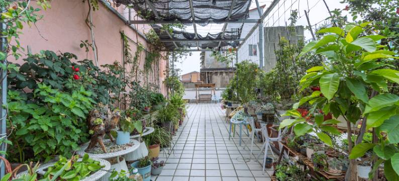 信阳金冠快捷酒店(信运汽车站店)图片