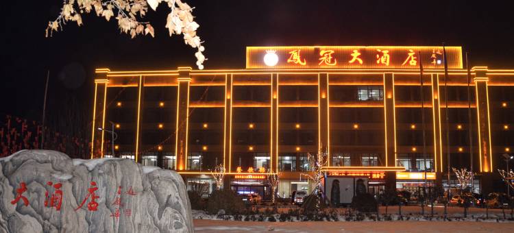 夏津凤冠国际酒店图片