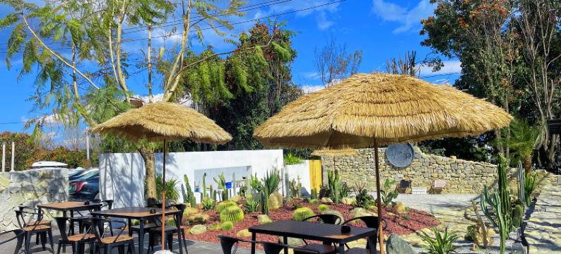 大理夏澍咖啡酒店图片