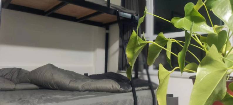 至臻电竞宾馆图片