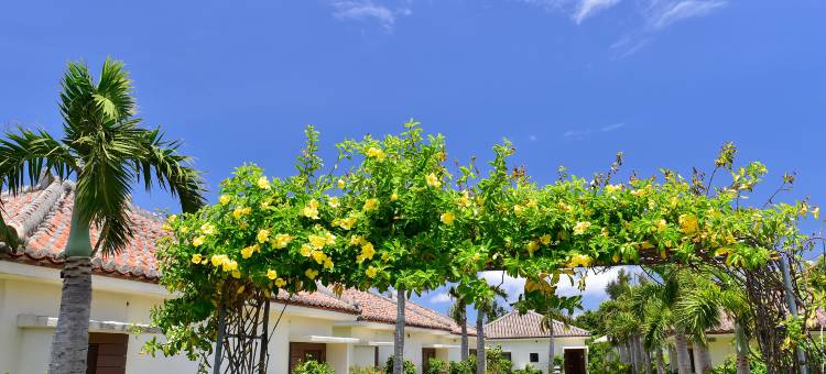 富崎海滩度假村酒店及别墅(Fusaki Beach Resort Hotel & Villas)图片