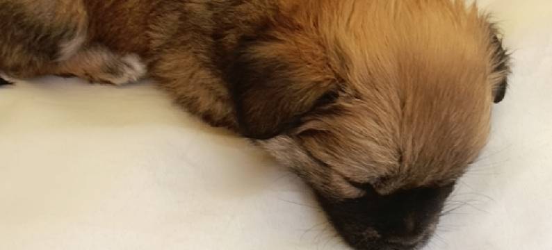 海角七号青旅图片