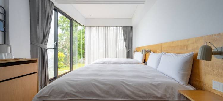 日光春和 Dayspring图片