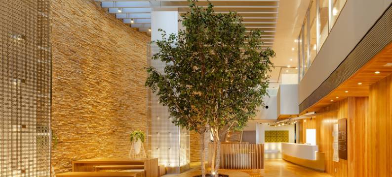 仙台一五酒店(The OneFive Sendai)图片