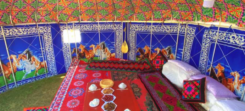 赛里木湖毡房姑娘牧家乐图片