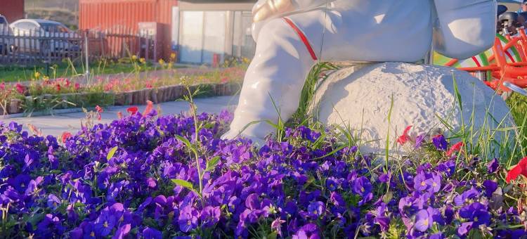 青海湖同宝山登山观湖特色野奢露营民宿图片