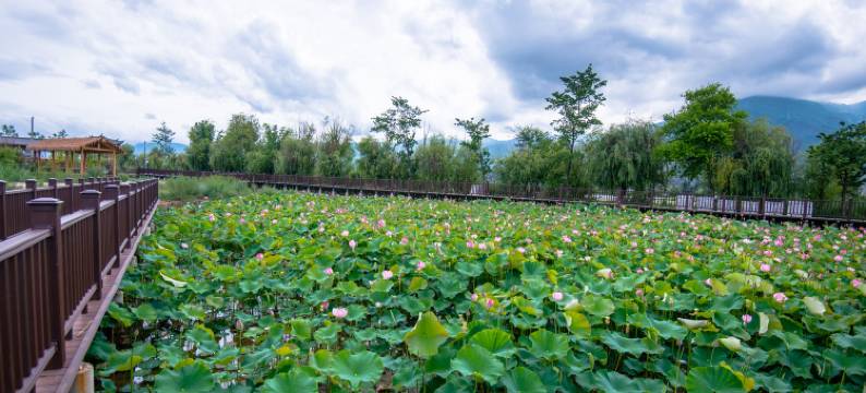草海情民宿馆图片