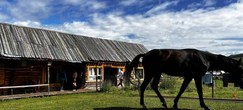 白哈巴远方的家图片