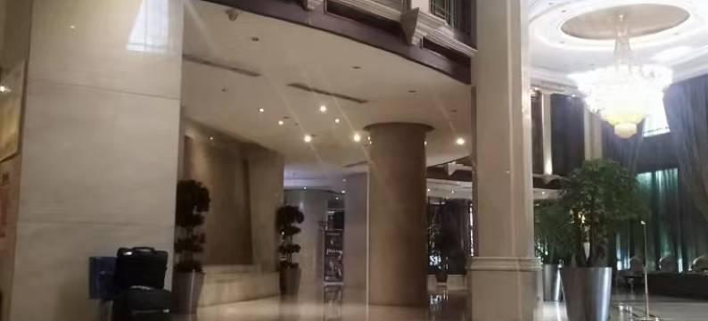 益阳凯兴至尊花园酒店图片