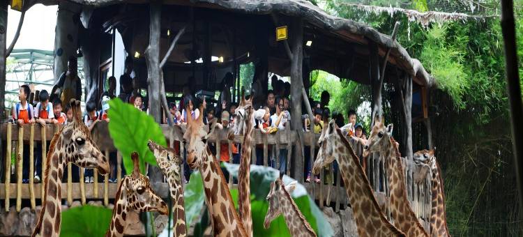 佛山顺德哥顿酒店(渔人码头店)图片