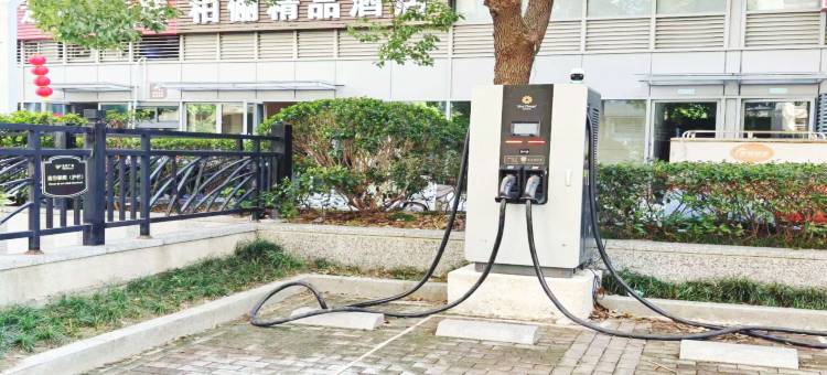 柏俪精品酒店(中华恐龙园店)图片