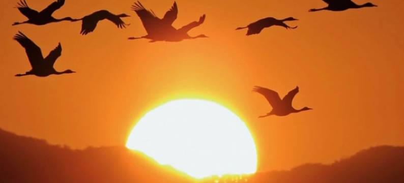 RITA 出水麓(Rita Izumifumoto)图片