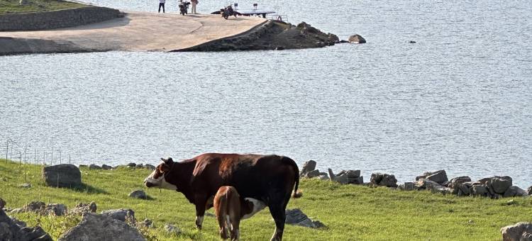 他山纪.化屋民宿(毕节黔西乌江源百里画廊化屋风景区店)图片