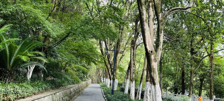 候鸟家园旅居酒店(千岛湖骑龙巷店)图片