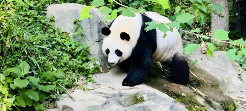 丽庭酒店(南京火车站红山动物园店)图片