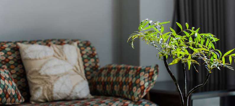 西坞里73号•莫干山法式轻奢庭院亲子美宿图片