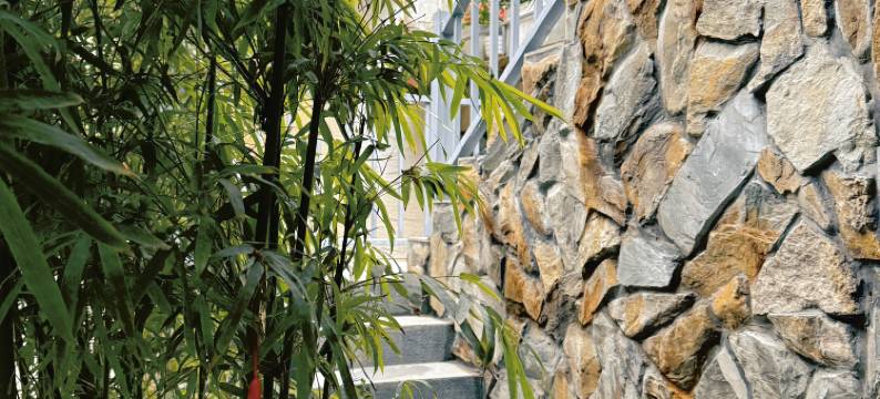 一亩三分in春树下民宿(陶溪川文创街区店)图片